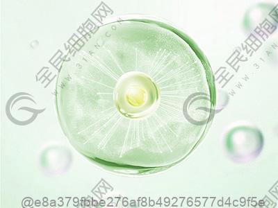 高血压糖尿病饮食指南食谱最新版