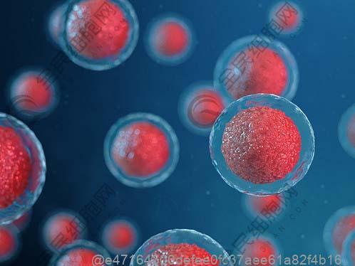 彩超照甲状腺4a但查血又正常