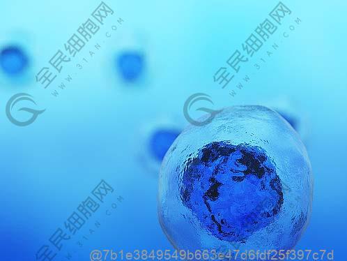 打干细胞7天可以吃什么水果补维生素C效果好？