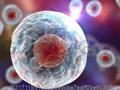 打完干细胞几天能吃腌制肉？