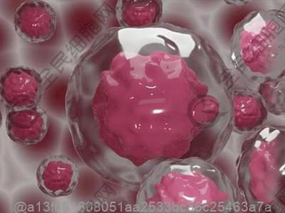 打了干细胞多久可以吃米酒？