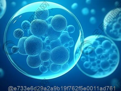 打干细胞期间喝啤酒会影响效果吗​