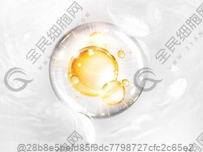 怀孕吃橘子对胎儿好吗