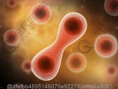 打干细胞前吃河虾对血压有影响吗？​