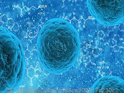 打干细胞前喝酒会影响干细胞的植入吗​