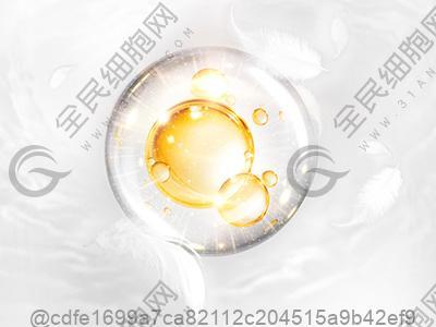 肺部ct检查结果多久能查出来