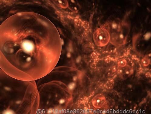 干细胞回输后吃什么食物能补蛋白质？植物蛋白与动物蛋白搭配​