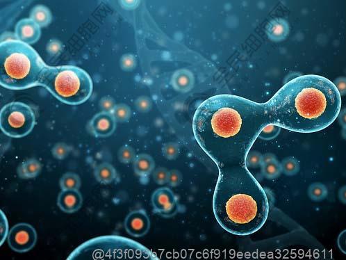 打干细胞不能吃青海酸奶吗？