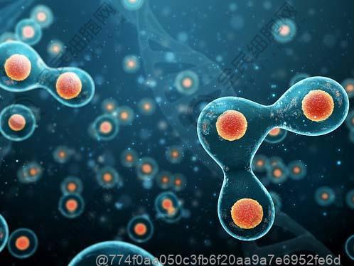 回输干细胞后可以吃什么蔬菜？