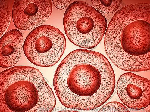 在打完干细胞后可以喝温蜂蜜水吗？