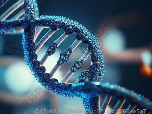 打了干细胞不能吃什么蔬菜？避开这些尝浙江茭白等特色菜​