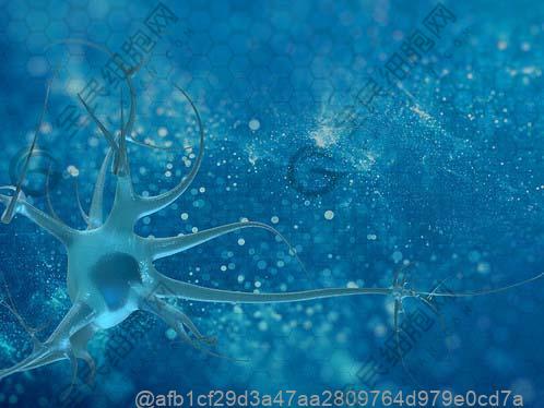 打干细胞不能吃贵州豆豉火锅吗？发酵酱料术后风险​