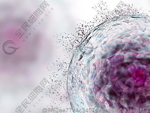 打完干细胞要注意情绪管理吗？除了饮食的身心护理要点​