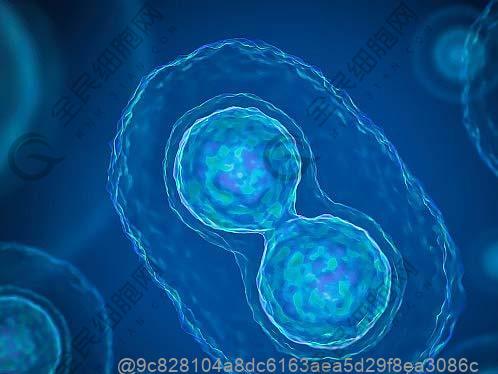 山东注射干细胞一针的价格？能注射干细胞的医院有官方名单吗？