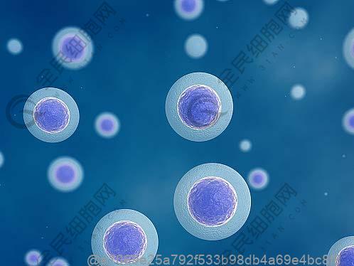 amh值偏高是多囊吗