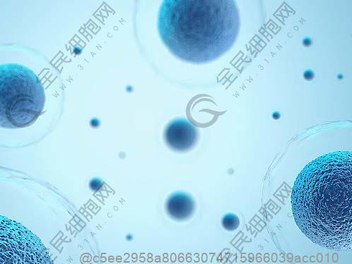 肝功能检查五项病毒性感染