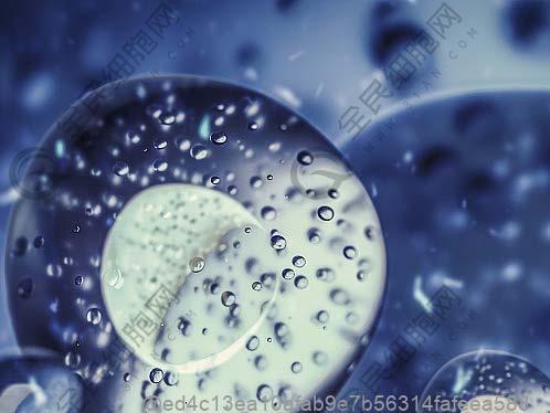 男性打干细胞时，吃这些水果或对恢复有帮助！