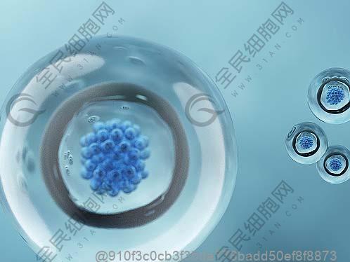 打干细胞敢吃什么东西吗？氢化油的危害警示