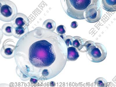 吃异维a酸检查肝功能的注意事项