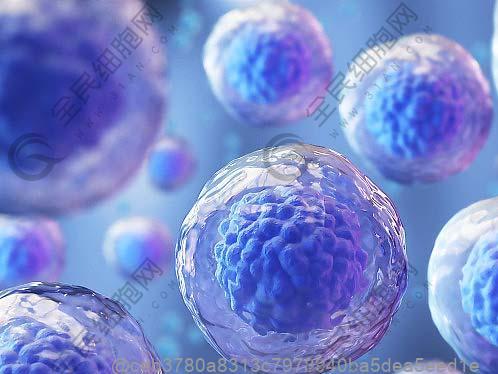 ct肺部检查做哪一种好